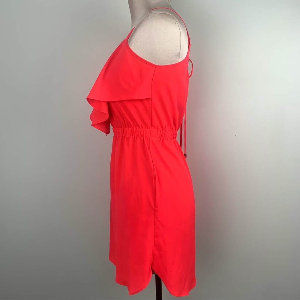 Mini Ruffle Dress - Picture 3 of 3